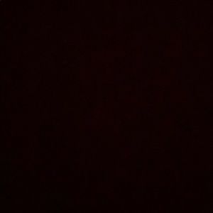 Meet your Posher, Danny